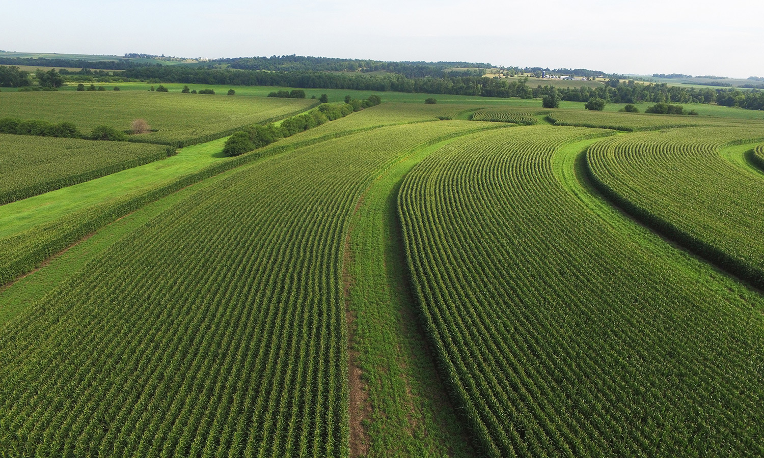 aerial view of farm using prairie strips