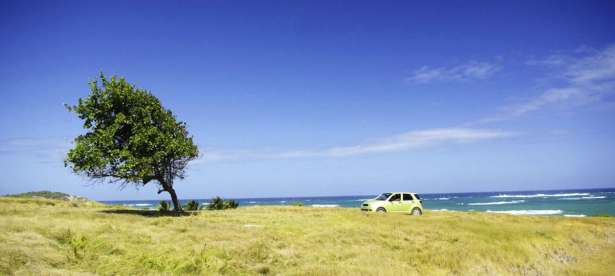 A car parked near the ocean.