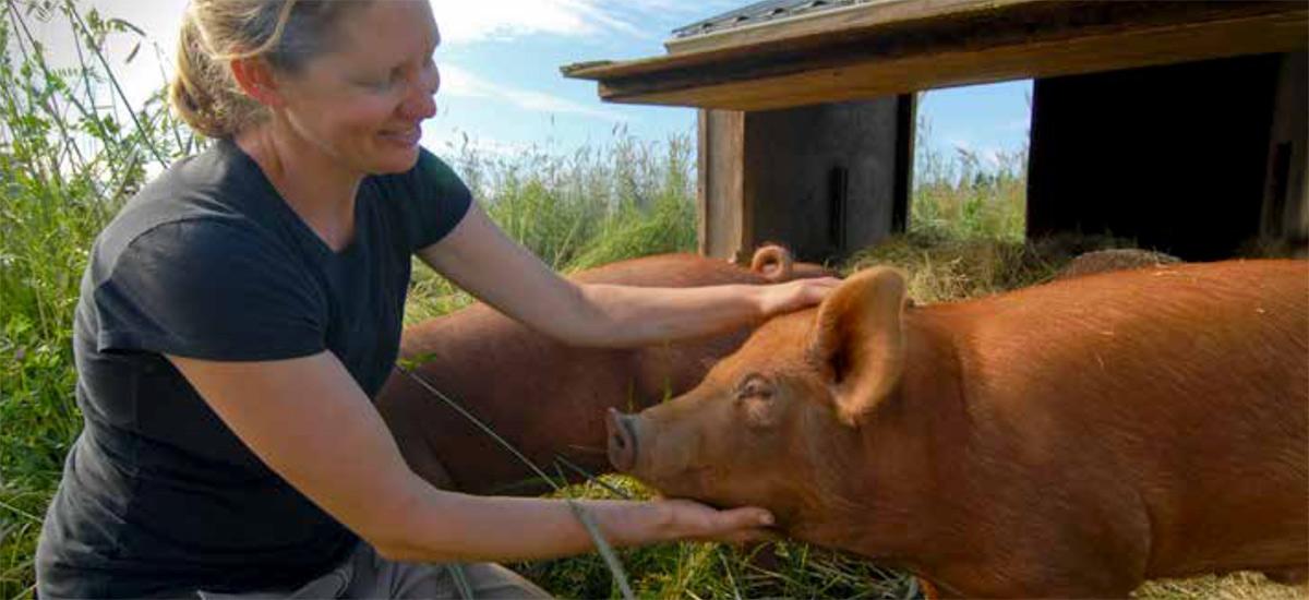 A farmer and her pigs.