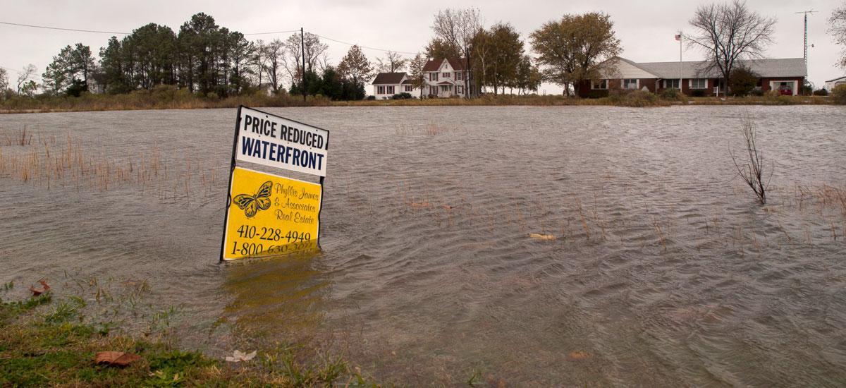 price-reduced-waterfront-sign