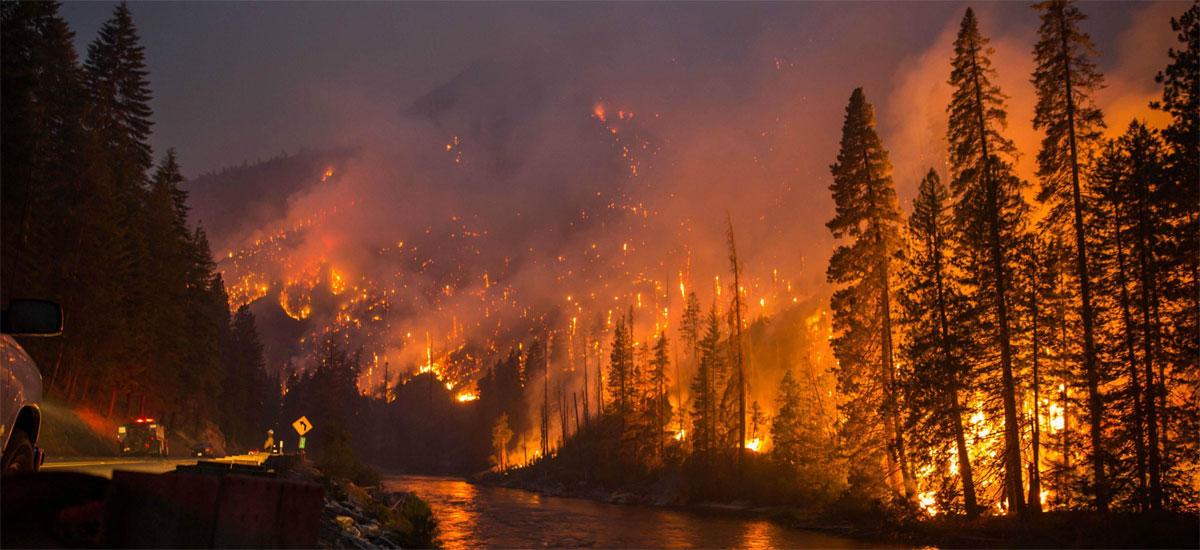 A car drives past a wildfire. 