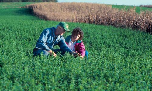 Farmer and USDA scientist looking at crops