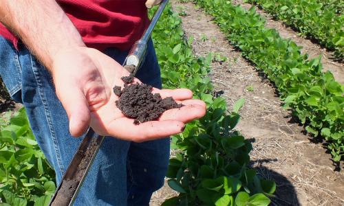 USDA scientist holding a soil sample