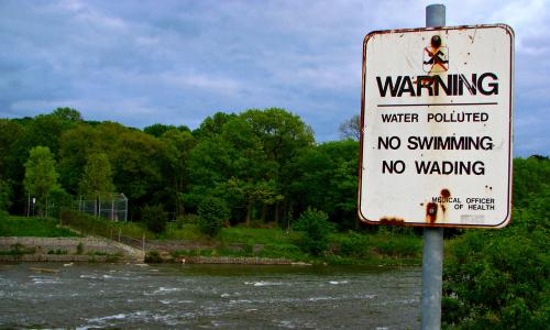 A sign next to a body of water reads "Warning: Water polluted. No swimming. No wading."