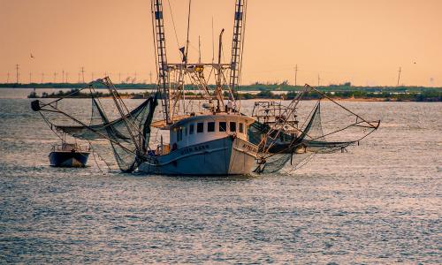 Fishing boat off Grand Isle, Louisana