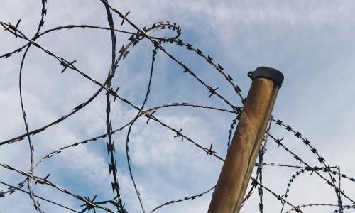 The top of a barbed wire fence.