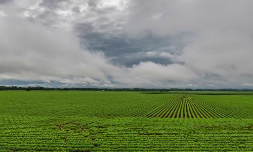 Large farm field in Polk County, Iowa