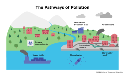 A graphic showing different ways pollution can affect a community, through water, air and soil. 